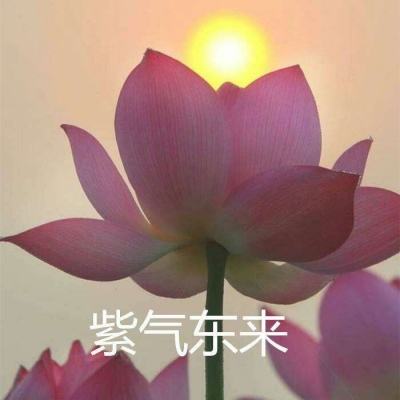 ink无尽攀登破解版下载